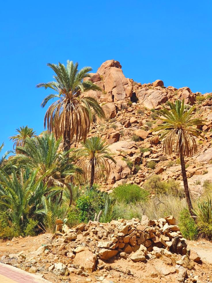 tafraout, morocco